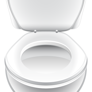 Toilet PNG