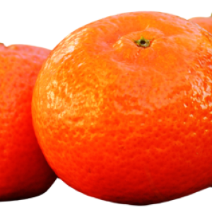 Mandarin PNG