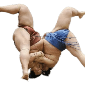Sumo PNG