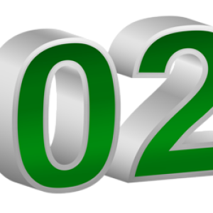 2023 year PNG