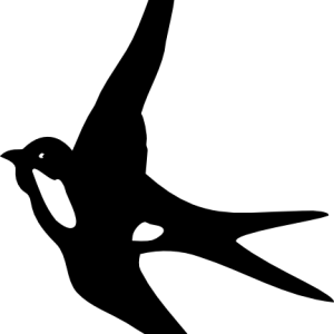 Swallow PNG