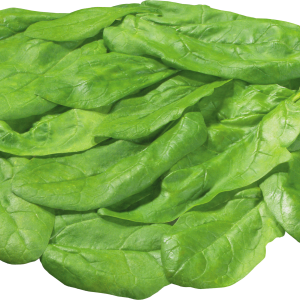 Spinach PNG
