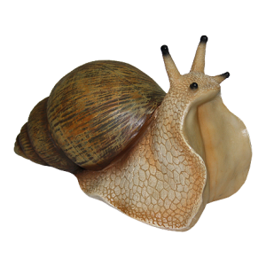 Snail PNG