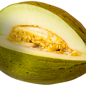 Melon PNG