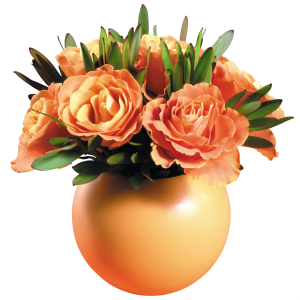 Vase PNG