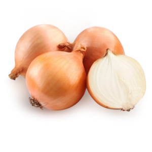 Onion PNG image, free download picture
