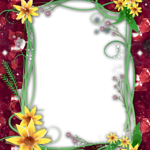 Floral frame PNG