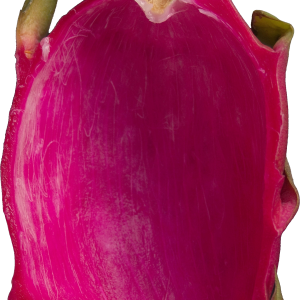 pitaya PNG