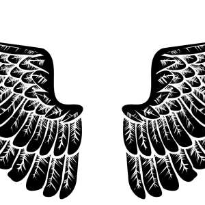 Wings PNG