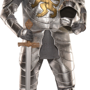 Medieval knight PNG