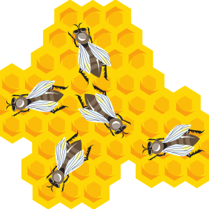 Honey PNG