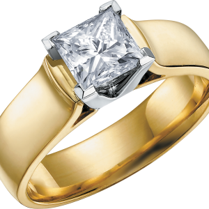 Jewelry ring PNG
