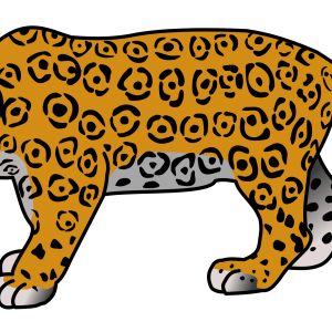 Jaguar PNG
