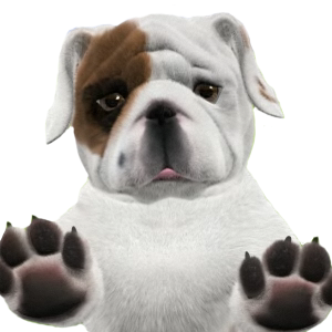 Bulldog PNG
