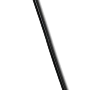 Trident PNG