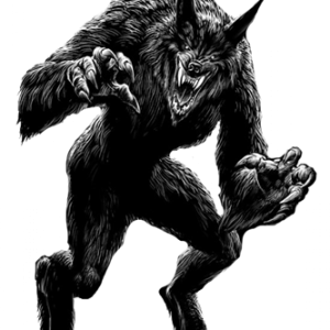 Werewolf PNG
