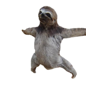 Sloth PNG