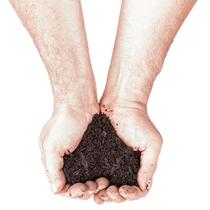 Soil in hands PNG