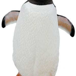 Penguin PNG image