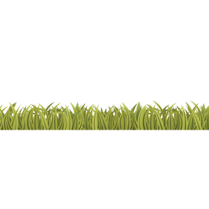 Grass PNG