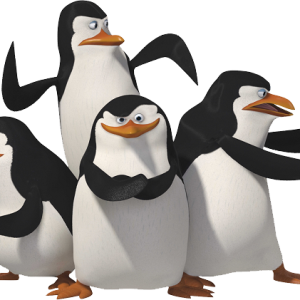 Madagascar penguins PNG
