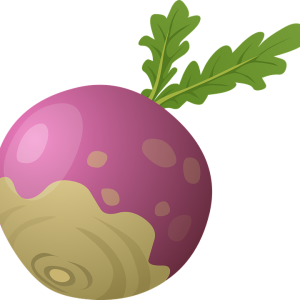 Beet PNG