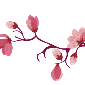 Sakura PNG