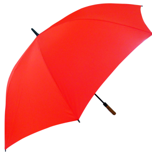 Umbrella PNG