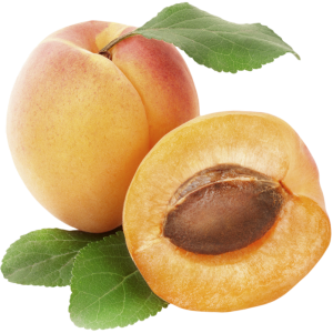 Apricots with green leaves PNG