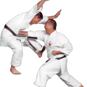 Karate PNG