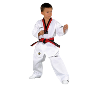 Taekwondo PNG