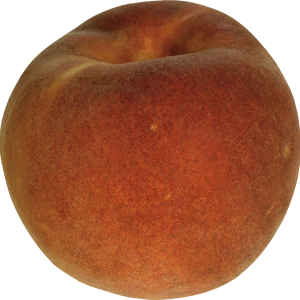 Peach PNG image