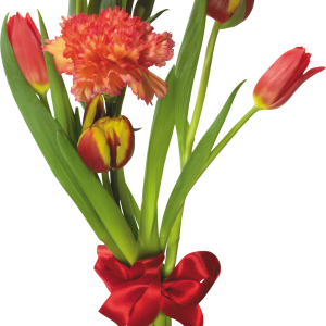 Bouquet flowers PNG