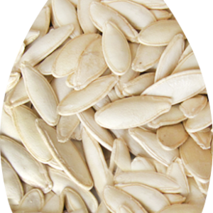 Pumpkin seeds PNG