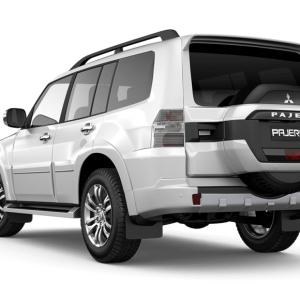 Mitsubishi PNG
