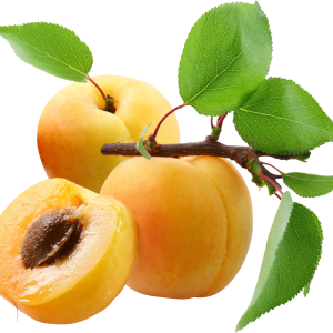 Peach PNG image