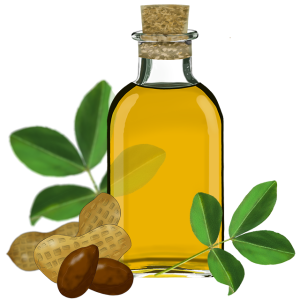 Sunflower oil PNG