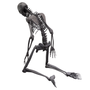 Skeleton PNG