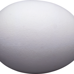 egg PNG