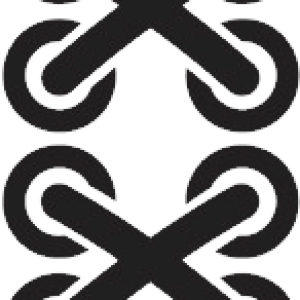 Shoelaces PNG