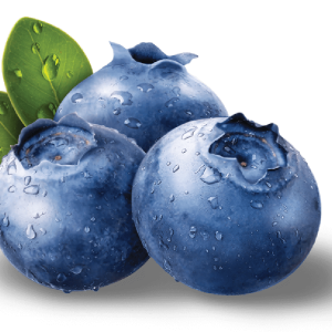 Blueberries PNG