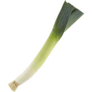 Leek PNG