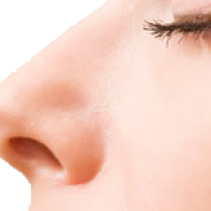 Human nose PNG