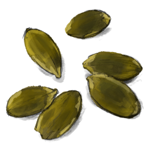 Pumpkin seeds PNG