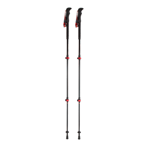 Trekking pole PNG