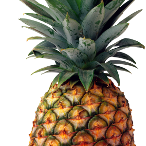 Pineapple PNG image, free download