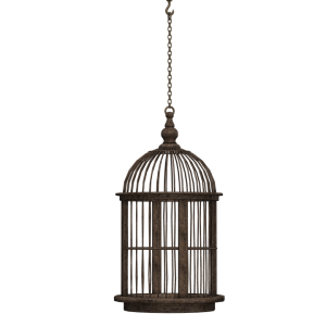 Cage bird PNG