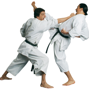 Karate PNG