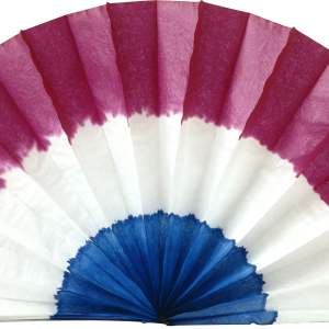 Hand fan PNG