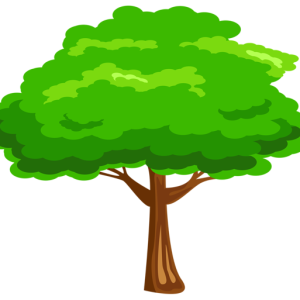 tree PNG